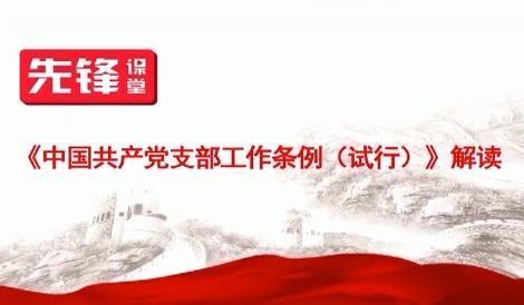 《中国共产党支部工作条例（试行）》解读（十）工作机制——党支部党员大会